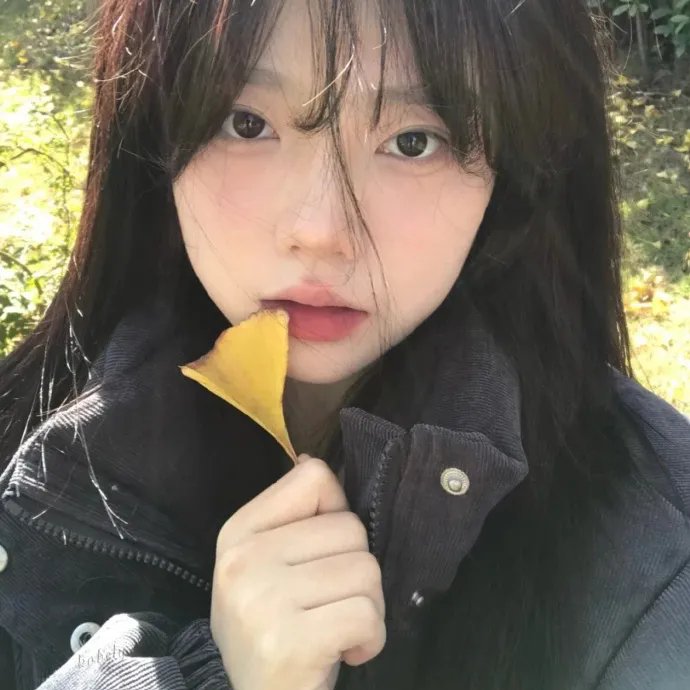 菜鸟囧探